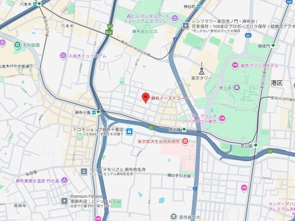 麻布イーストコートの物件内観写真